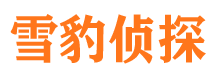 镇坪找人公司